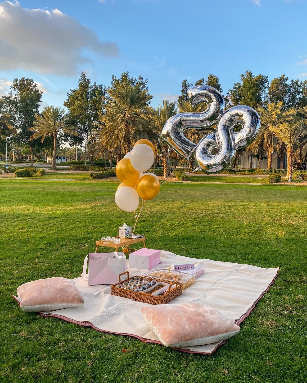 Picnic setup on a white blanket with pink pillows and silver number 28 balloons.