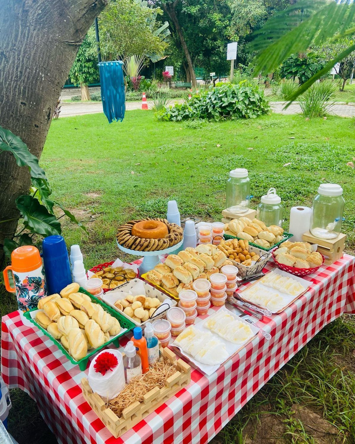Snack station on a red checkered tablecloth with pastries and drinks in a park