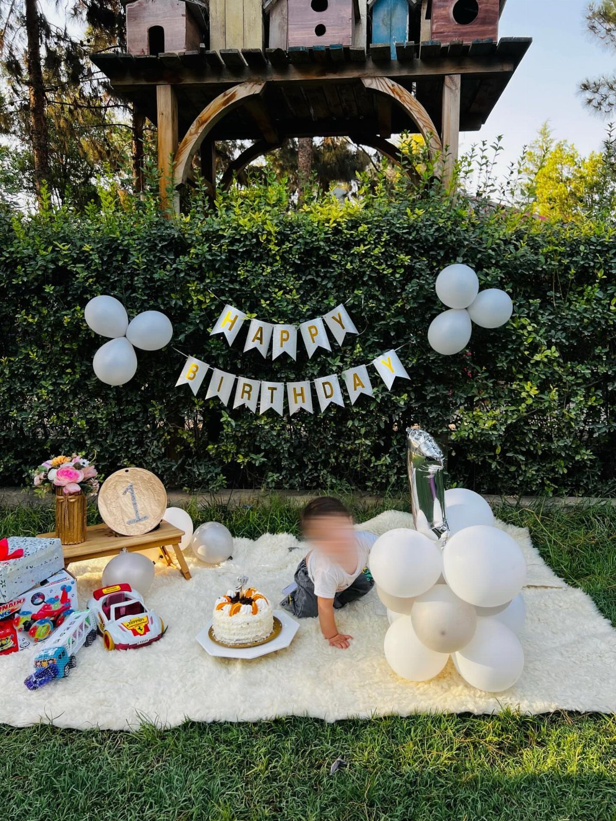Toddler celebrating a first birthday on a white rug in a park setting
