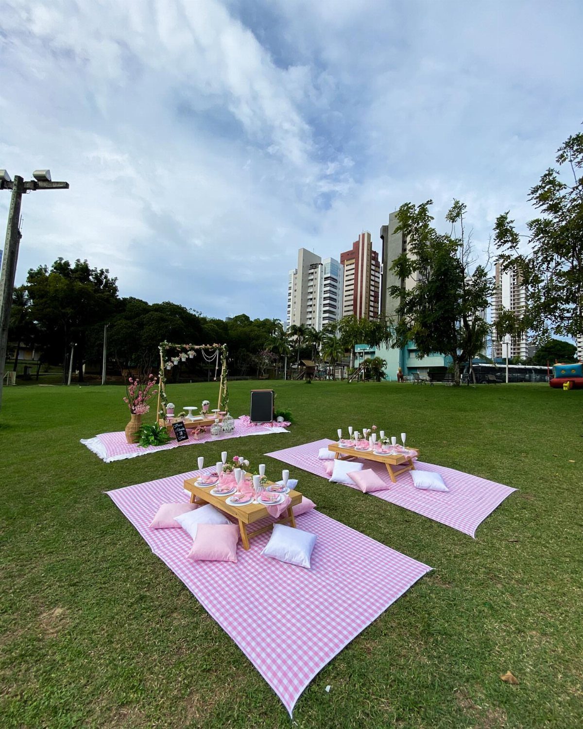 Luxury picnic setup with pink checkered blankets and low wooden tables on green grass.