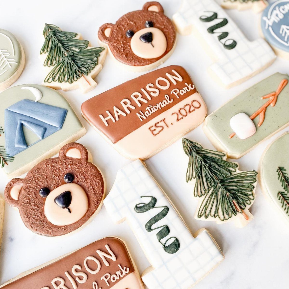 Camping themed sugar cookies shaped like bears, trees, tents, and park signs.